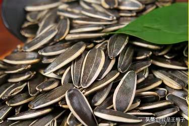 新疆南瓜子价格(过年买瓜子)