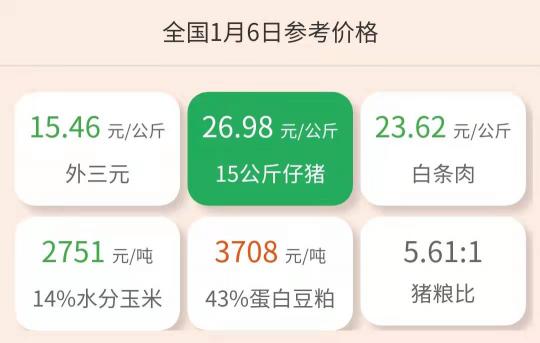 广东省小猪多少钱一斤（1月6日仔猪价格）