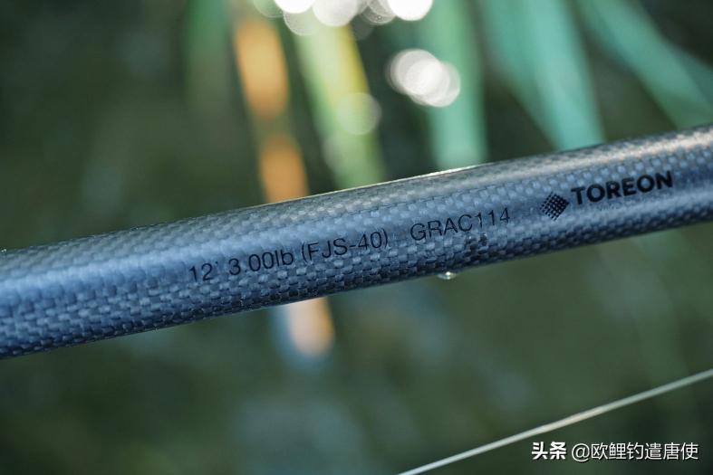 钛合金手杆鱼竿价格图（话说欧鲤钓）