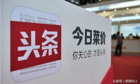白灵菇的市场价格（今日菜价7月26日）