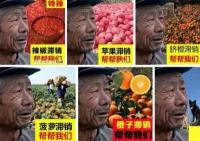 昆商糖网今日糖价格表（中农网这么能）