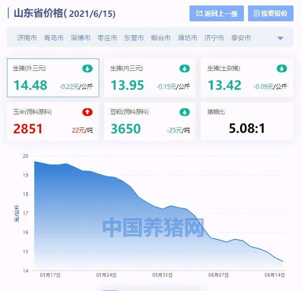 临沂生猪今日收购价格（山东省生猪价格涨跌表）
