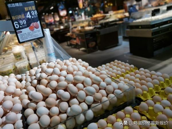今日周口鸡蛋最新价格（今日鸡蛋价格稳中有涨）