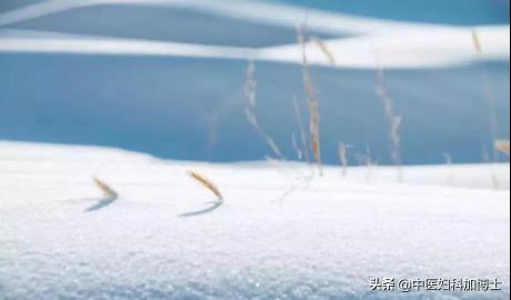 艾贴贴图片及价格（冬三月最宜使用艾灸贴）