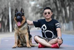 棉花狗價格及圖片(公認)