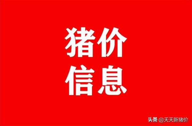 生猪价格uc报价（猪价信息）