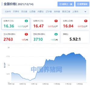 全国生猪价格行情（全国生猪价格涨跌表）
