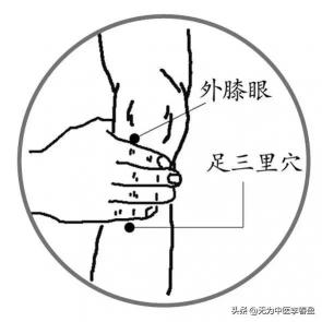 郭老道艾灸液多少钱（足三里）