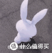 装无线网多少钱一年（大户型选什么路由器）