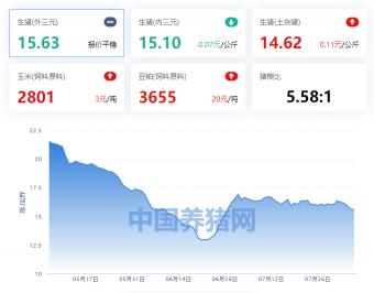 山东生猪价格今日猪价（山东省生猪价格涨跌表）