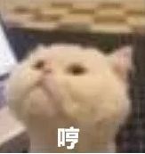 北冰洋冰激凌价格（十五款神仙雪糕盘点丨天气已经这么热了）