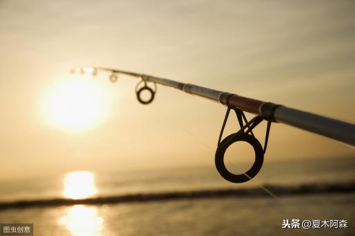 鈦合金手桿魚竿價格圖(魚竿導環好壞區別在哪)