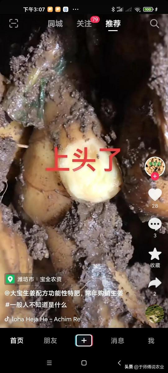 山东姜价格还能涨吗（2022年大姜种植情况和姜价分析）