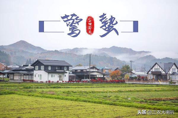 甕福二銨的價格（尿素一天一個價）