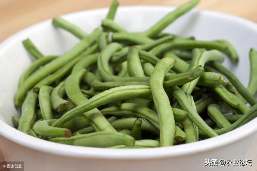 预测2017年豆角价格（种植豆角前景怎么样）