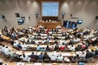 尚村最新狐狸皮价格（5月2日丹麦拍卖会）