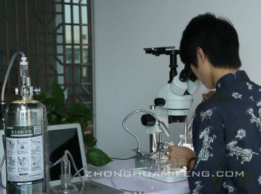 蜂王人工授精儀價格（春季提高人工授精蜂王質量的措施）