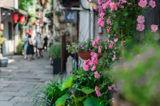 杭州虎山公园门票价格（5种玩法体验5个杭州）