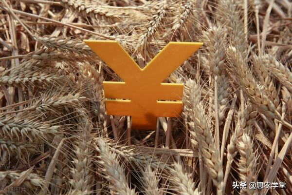 預計2017年新谷子價格（現在小麥）