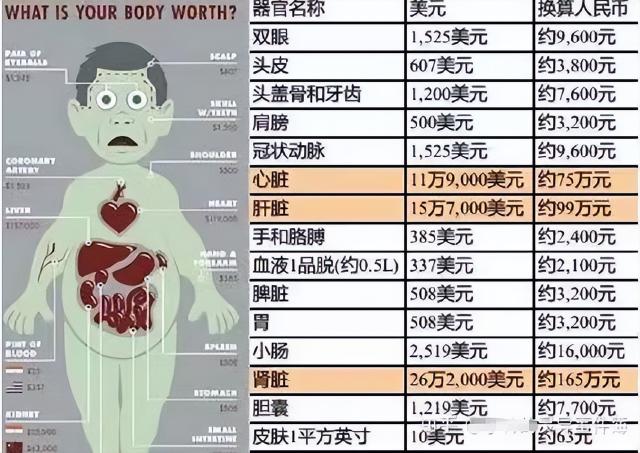 人体器官价格（你知道在）