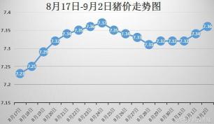 明天金锣生猪收购价格（9月2日全国猪价行情）