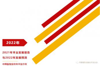 澳洲白种羊价格暴跌（2021年羊业发展报告与2022年发展预测）