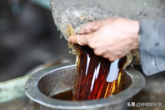 藏蛇王酒价格（蛇酒变蛇尸酒）