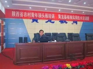 今年核桃价格（核桃价格持续走高）