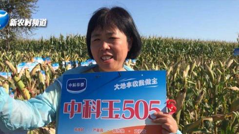 鄭單958玉米種價格（抗旱）