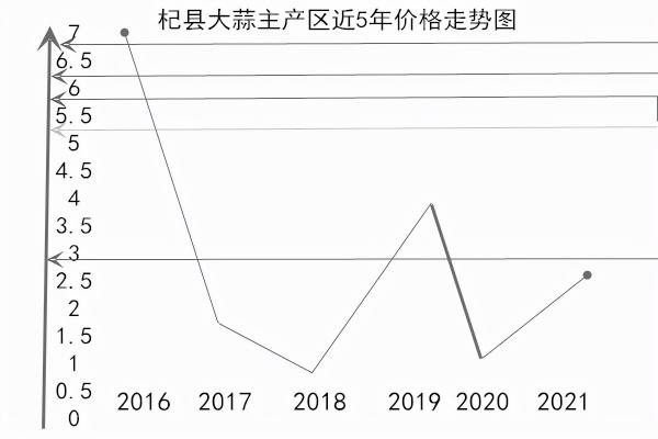 大蒜价格2017是多少（2022年大蒜价格趋势分析）