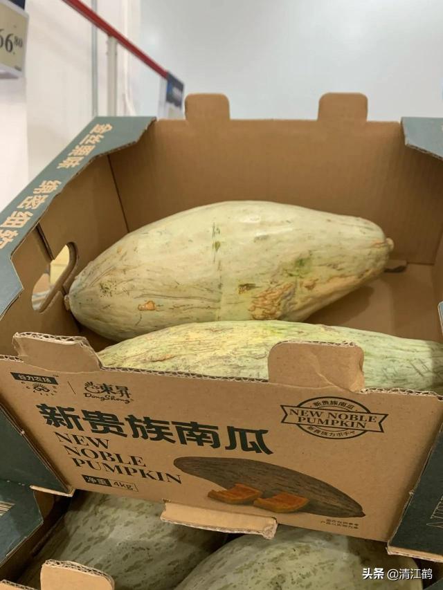 新疆南瓜价格（种植乞丐外貌贵族气质的）
