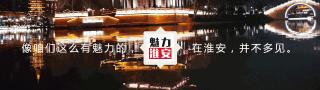 淮安花瓣雨婚庆价格（全城通缉淮安最恩爱的情侣）