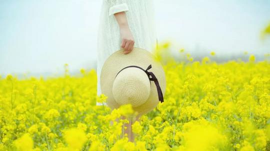 铁岭花海门票价格（美丽只会迟到）
