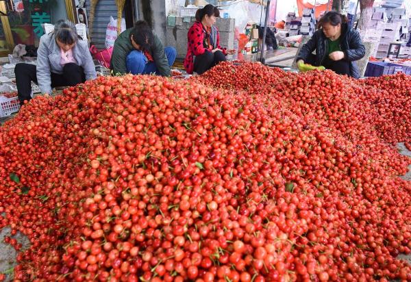 丰收年景价格（产地樱桃低至6元）