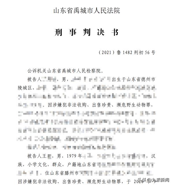 陆龟价格表（山东男子网购陆龟获刑3年）