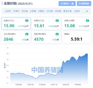 生猪最新价格（全国生猪价格涨跌表）