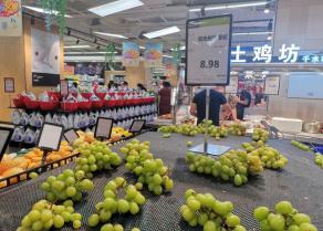 户太8号葡萄价格暴跌（曾300元1斤高攀不起）