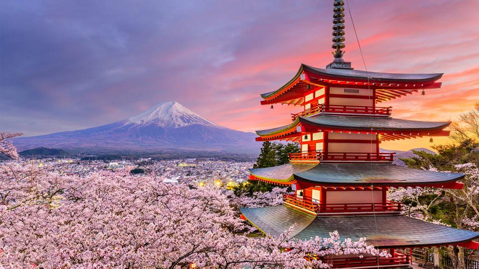 苹果下载他趣多少钱（去日本玩）