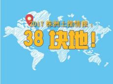 株洲逸都花园价格暴跌（2017株洲再推38块地）