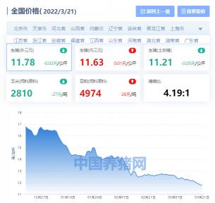 市场猪肉价格多少钱一斤（全国生猪价格涨跌表）