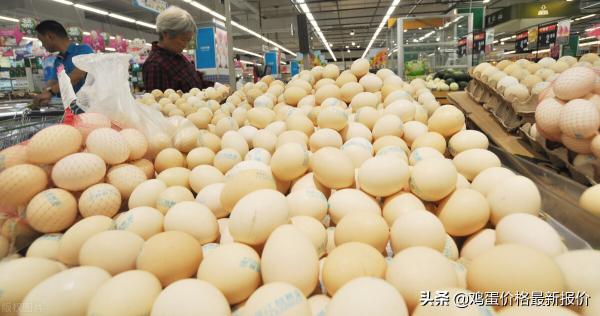 今日鹤壁鸡蛋价格（2022年4月26日鸡蛋价格最新报价行情）