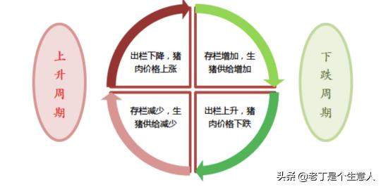 2016年生猪价格走势预测（深度）
