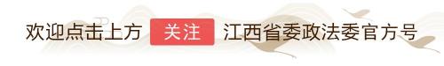2017小画眉鸟价格（上饶广丰）