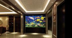 海纳利尔水族箱价格（四招教你选鱼缸）
