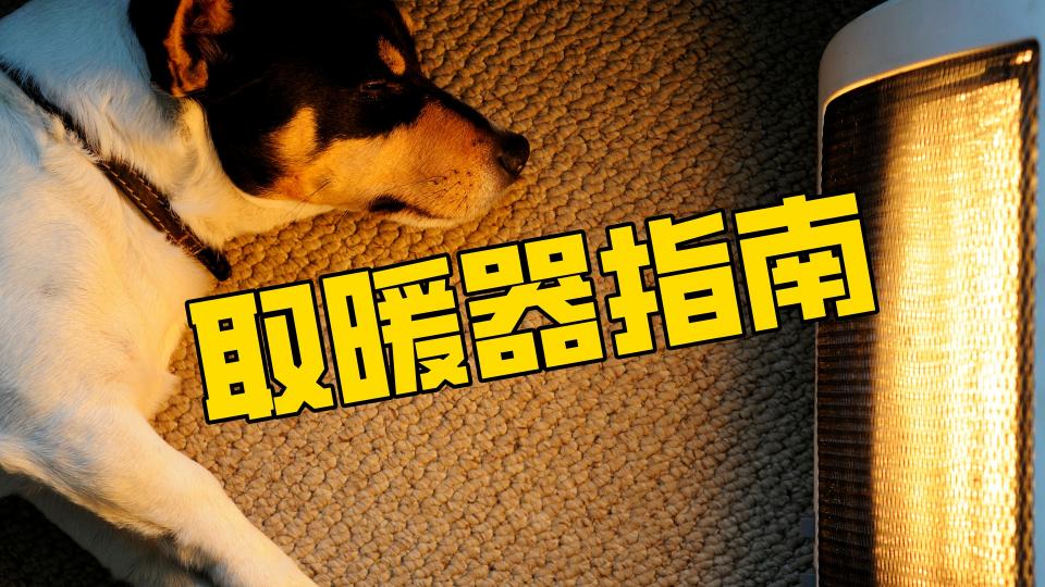 小型取暖器价格及图片（这个冬天怎么过）