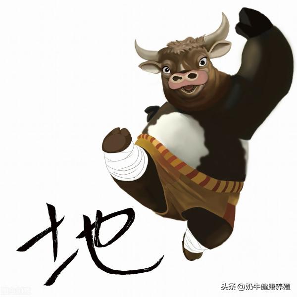 奶牛价格（最新牛价）