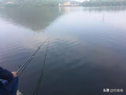 恒冠釣箱圖片價格（釣魚人永遠缺裝備）