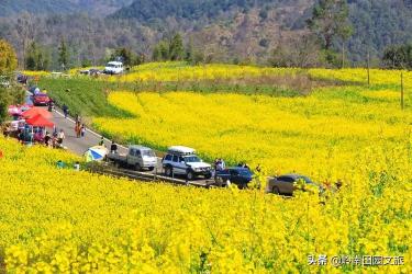 宁波望海茶价格表（一年接待游客55万人次）