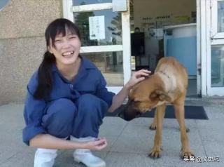 简大夫多少钱（最美兽医）