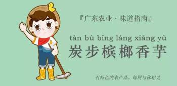 炭步芋头价格（天啊）